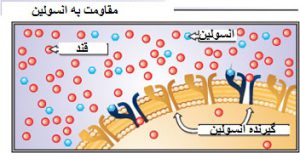 نمای شماتیک مقاومت به انسولین